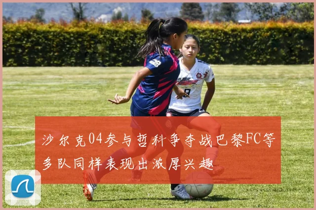 沙尔克04参与哲科争夺战巴黎FC等多队同样表现出浓厚兴趣