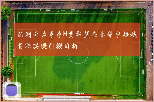 热刺全力争夺M费希望在竞争中超越曼联实现引援目标